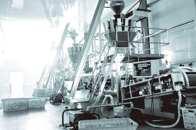 大成食品生产设备